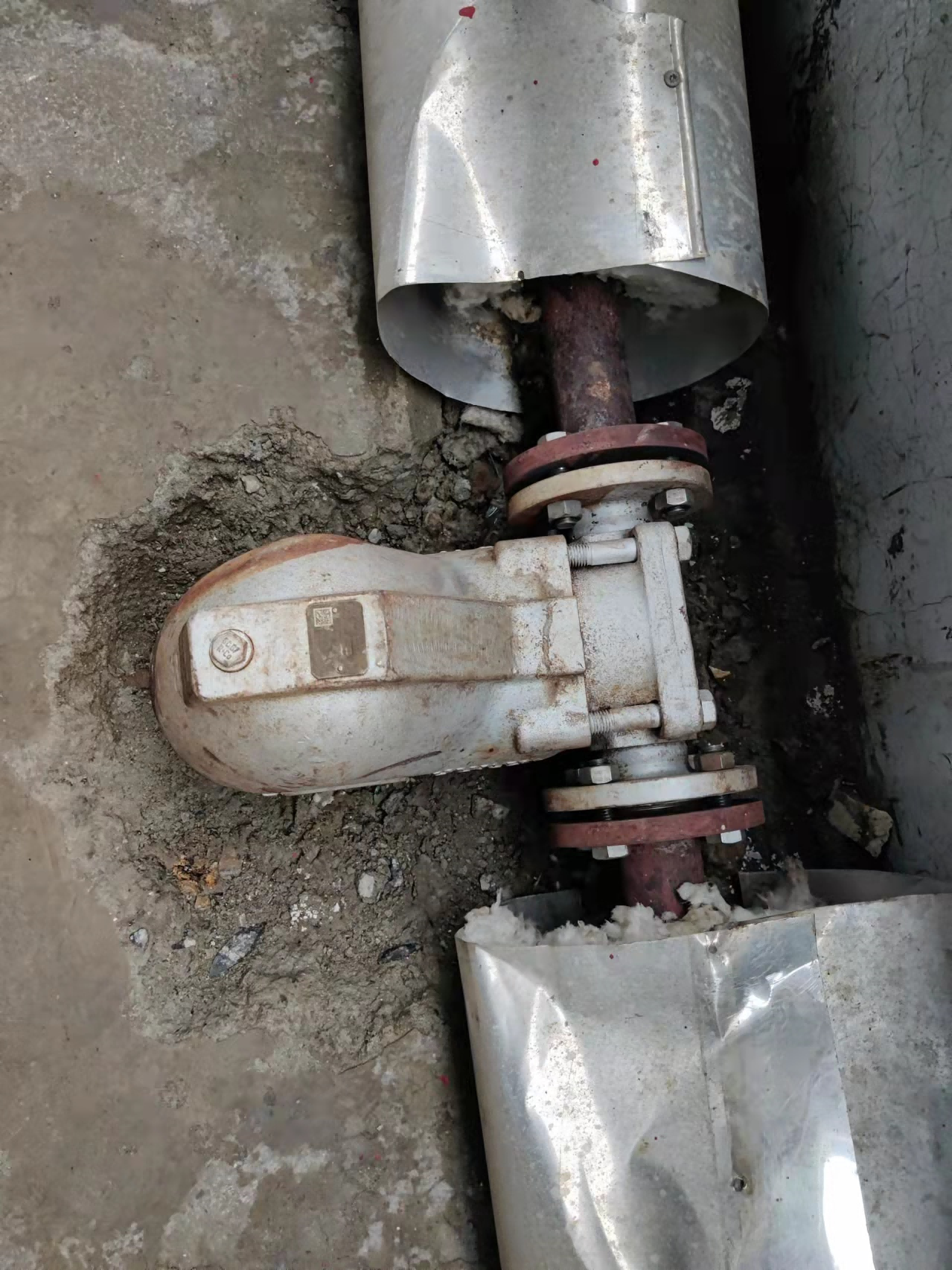 Mechanical trap replaced by SteamEco in a chlor-alkali plant